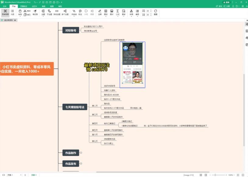 顶级风口项目，新手小白实操日入1000+(260.90M) 百度网盘分享