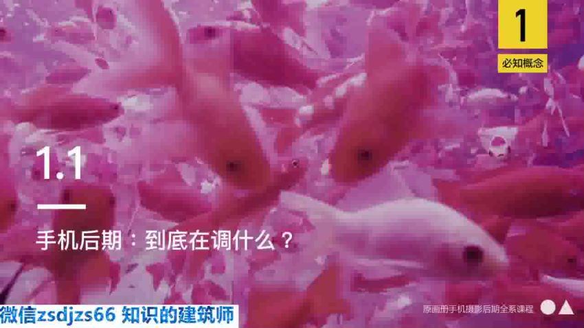 韩松教你学透手机摄影后期+手机摄影全系课，0基础开始·入门到进阶(1.23G) 百度网盘分享